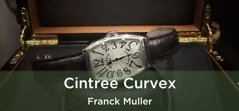  Cintree Curvex Franck Muller