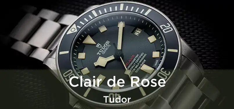  Clair de Rose Tudor